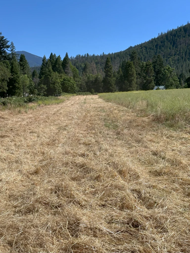 Southern Oregon Defensible Space Field Mower