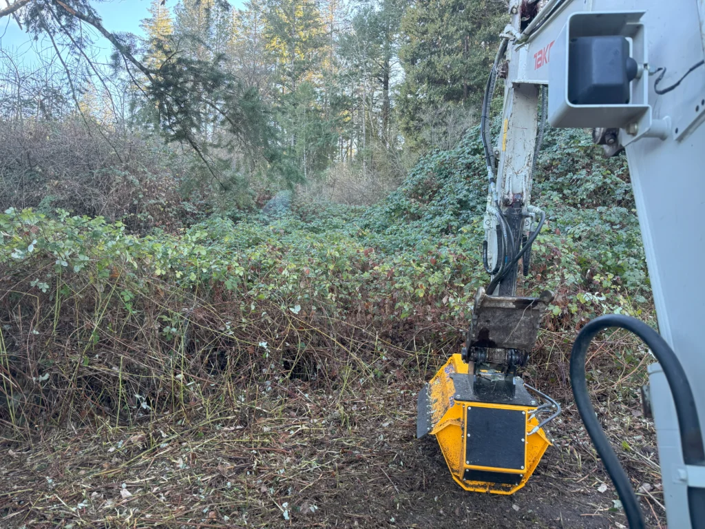 Ashland Land Clearing Services Gallery 1