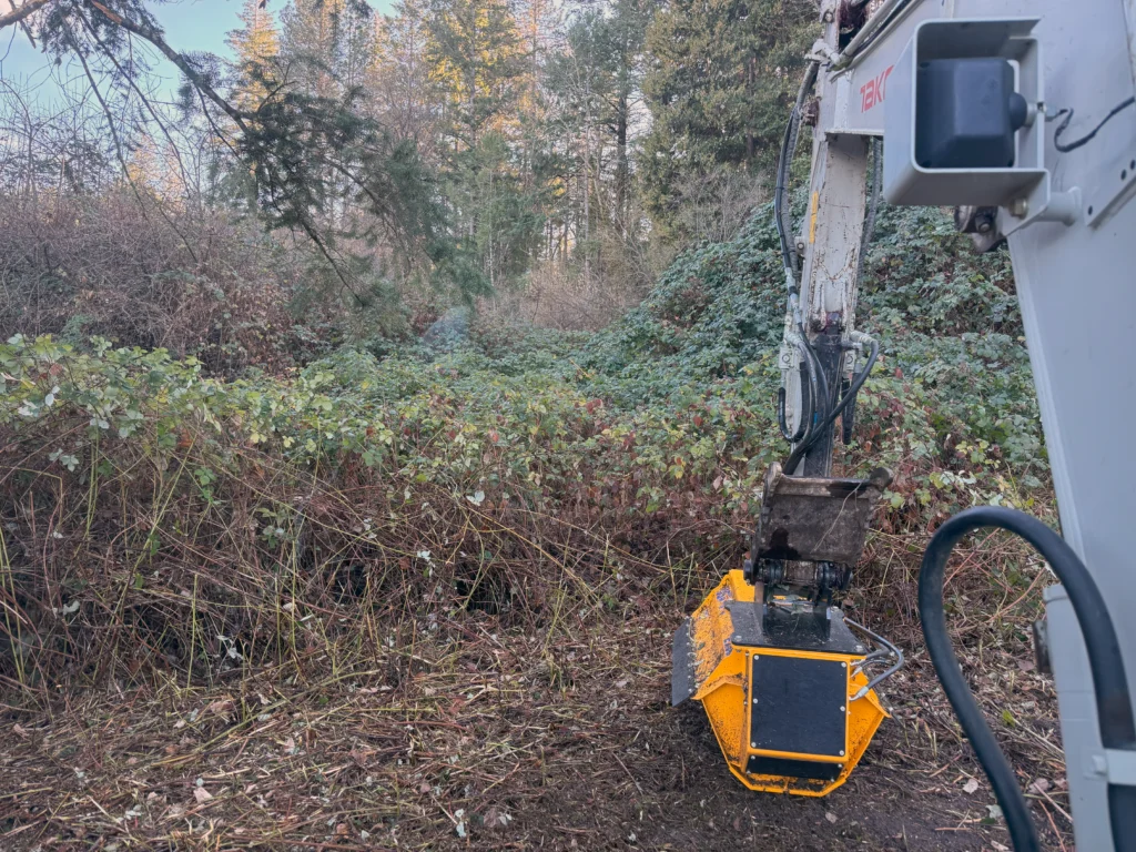 Oregon defensible space land clearing