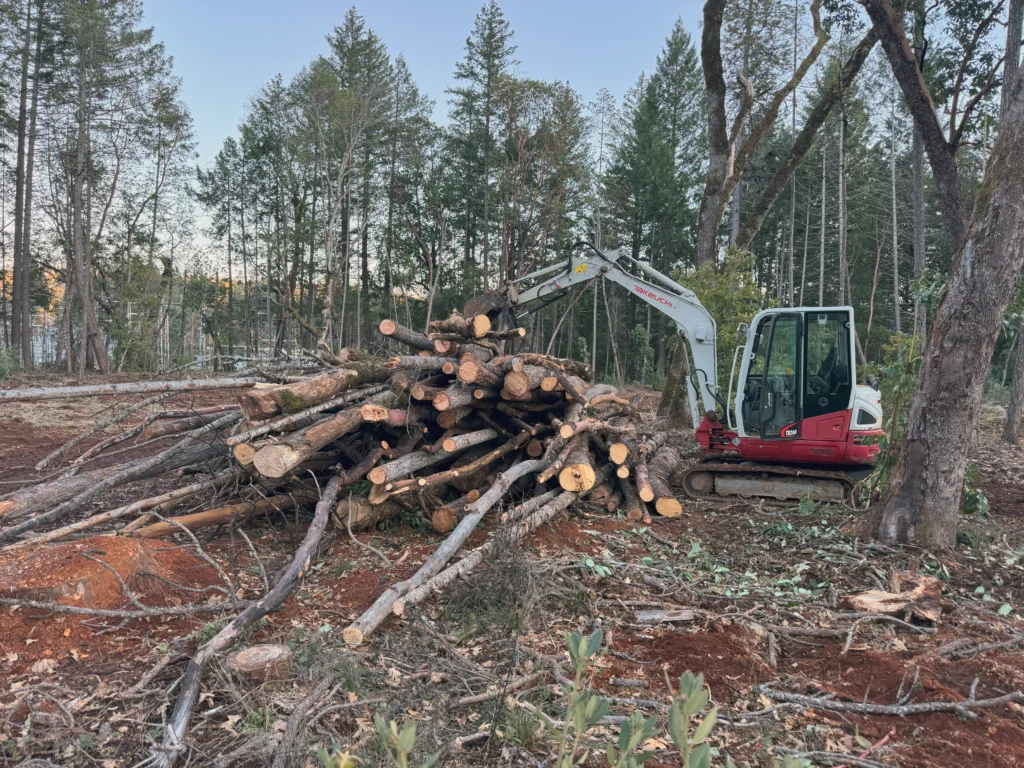 Rogue Valley land clearing services tree removal