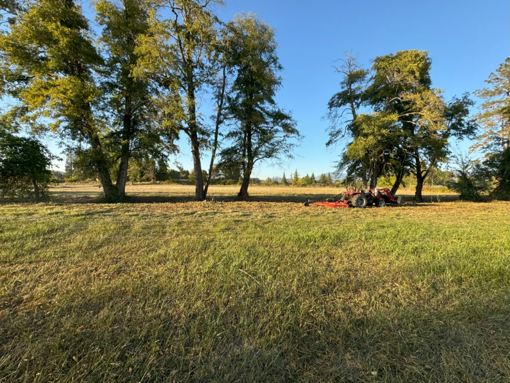 Grants Pass Field Mowing Services When To Cut