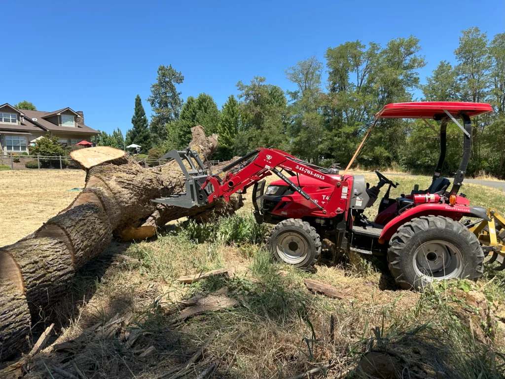 Rogue Valley Land Clearing Services Tree Removal